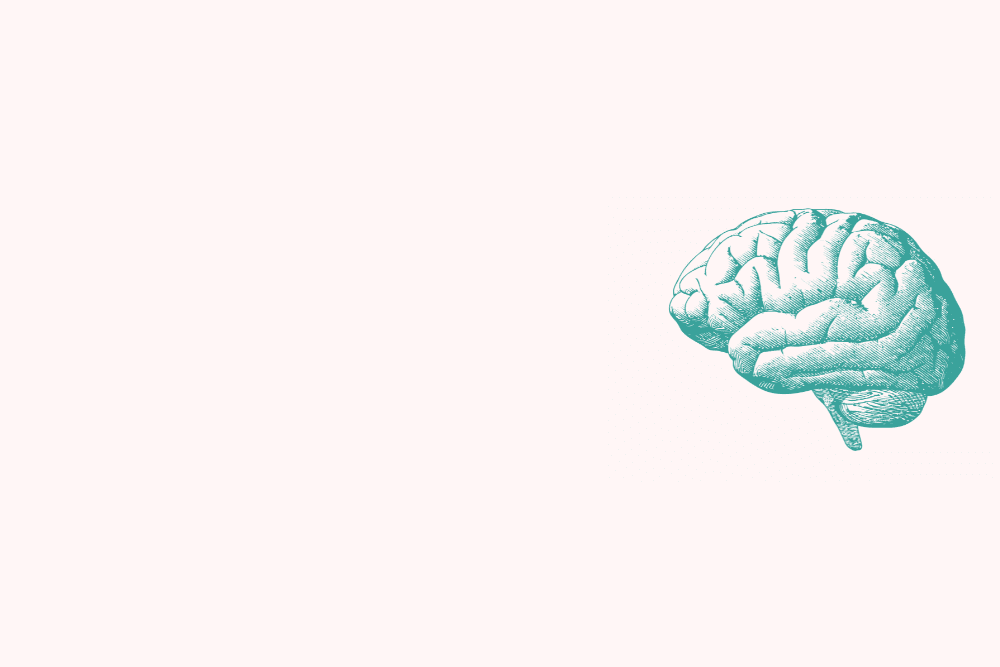 Tarm–hjärna-axeln påverkar hur vi mår mentalt.”